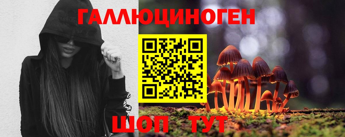 Галлюциногенные грибы прущие грибы Южно-Сахалинск